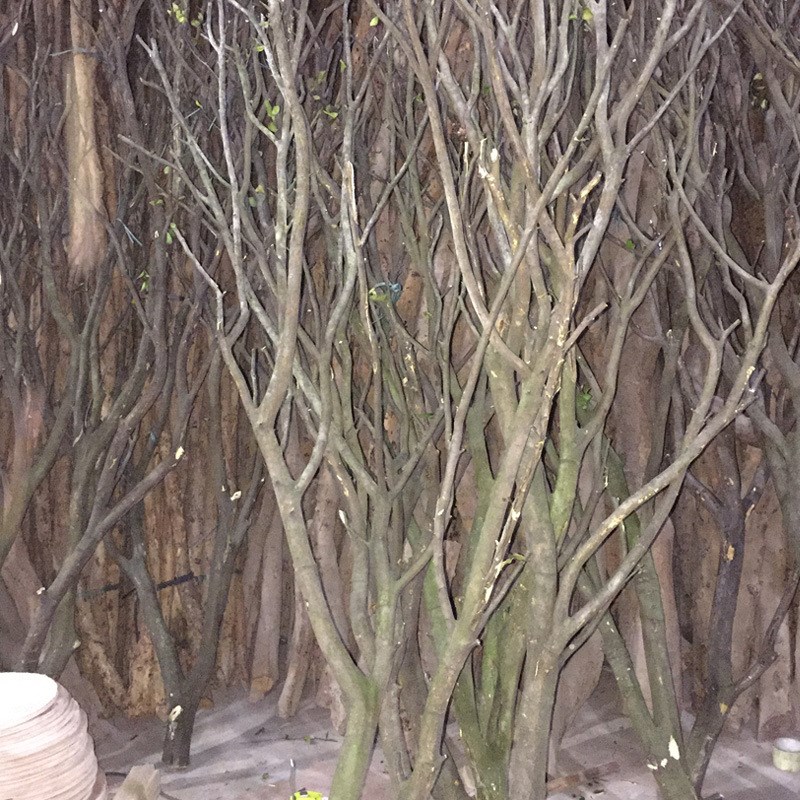 仿真枯树枝艺术装饰然树枝干枝树干树枝配材P造型树树枝餐馆装饰