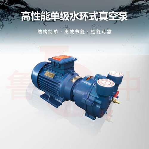 2BV2060真空泵 品质保障质保一年认准鲁中牌供应品质保障