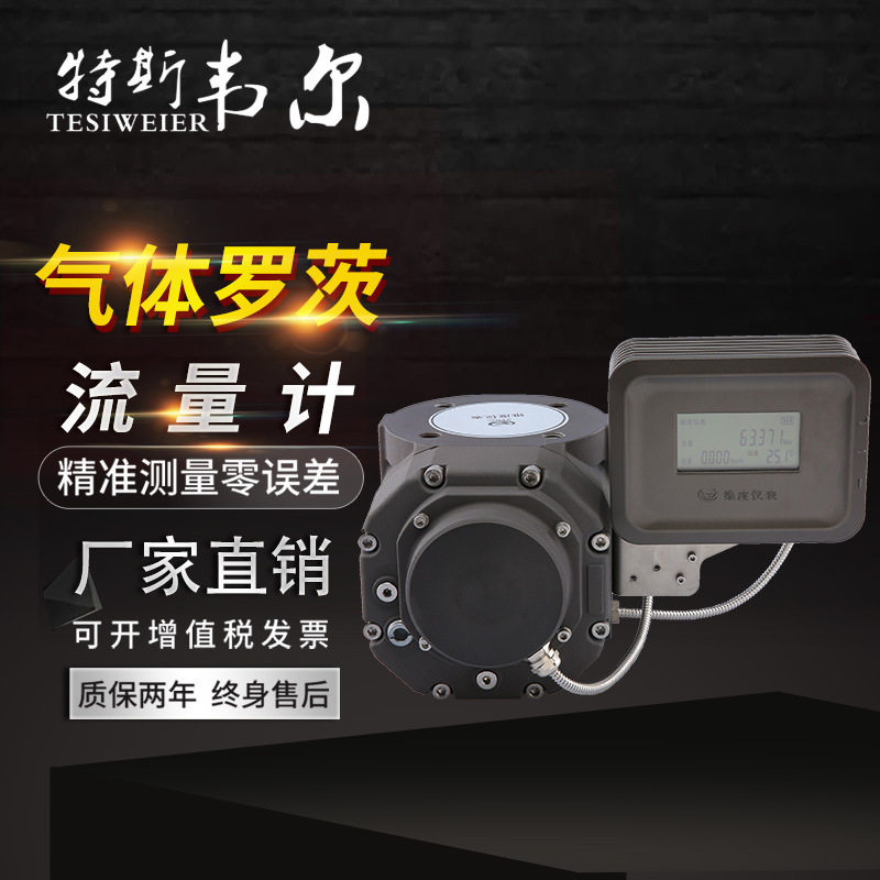 厂家 智能气体罗茨流量计 精度高 容积式流量计 气体计量
