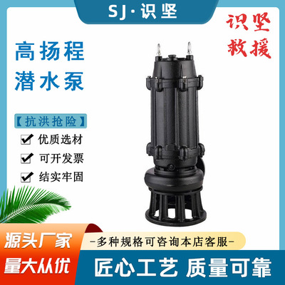 50KW高扬程大流量无堵塞排污泵
