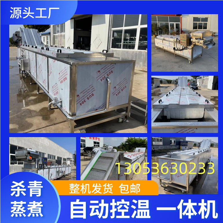 商用连续式果蔬漂烫预煮机
