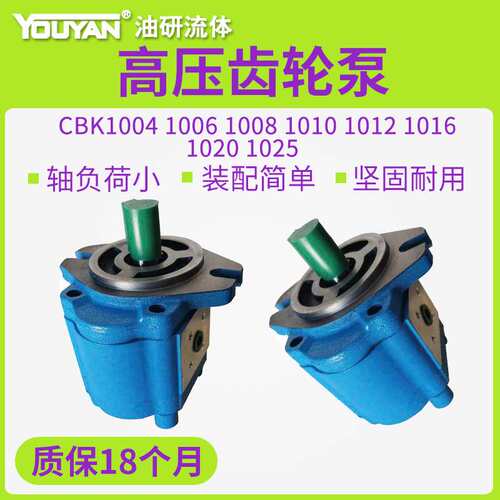 A1FL高压B1FR齿轮泵CBK1004/1006/1008/1010/1012/1016/1020/1025