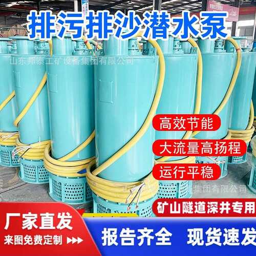 BQS20-25-4kw 煤矿用防爆排污排沙电泵 660/1140v抽水泵 喂水泵