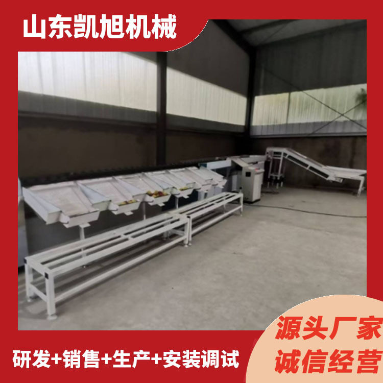 全自动百香果克重分选机