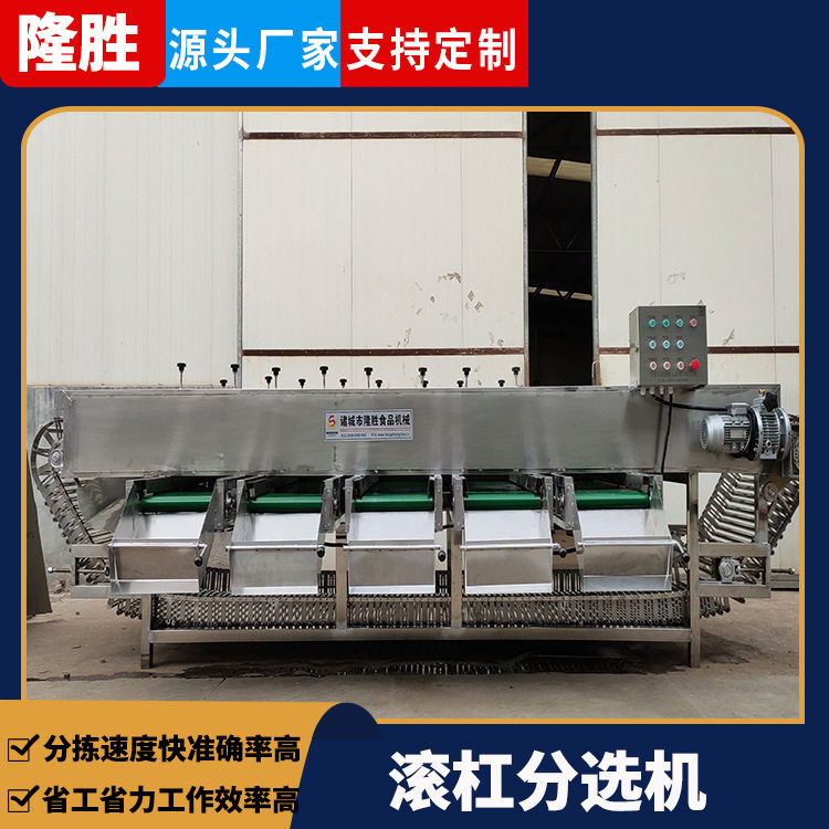 柑橘带叶滚杠全自动分级选果机