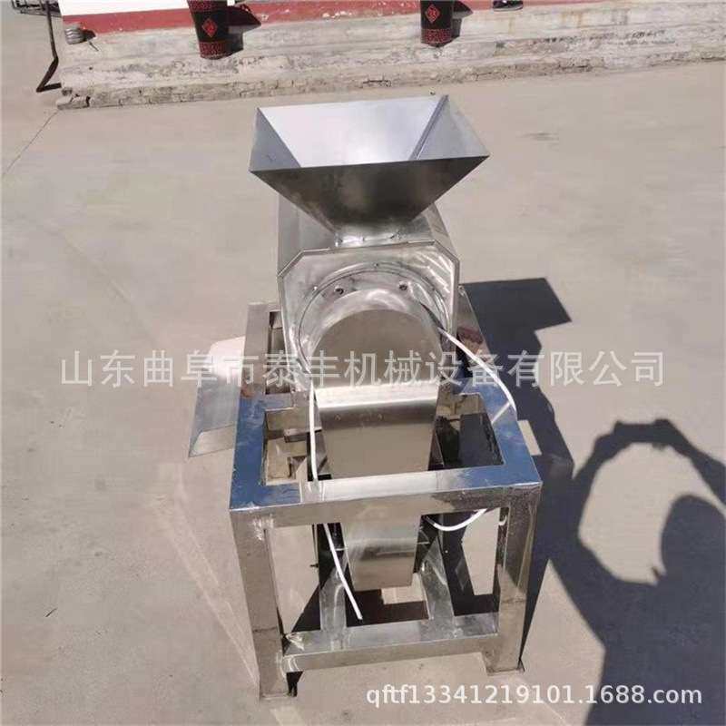 樱桃荔枝去核打浆机 菠萝草莓不锈钢打浆机 不锈钢火龙果打浆机