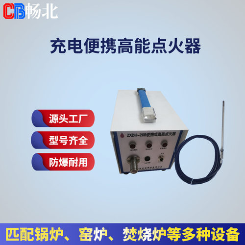 20焦耳防爆高能点火器 工业锅炉燃烧器点火装置 火炬点火器厂家