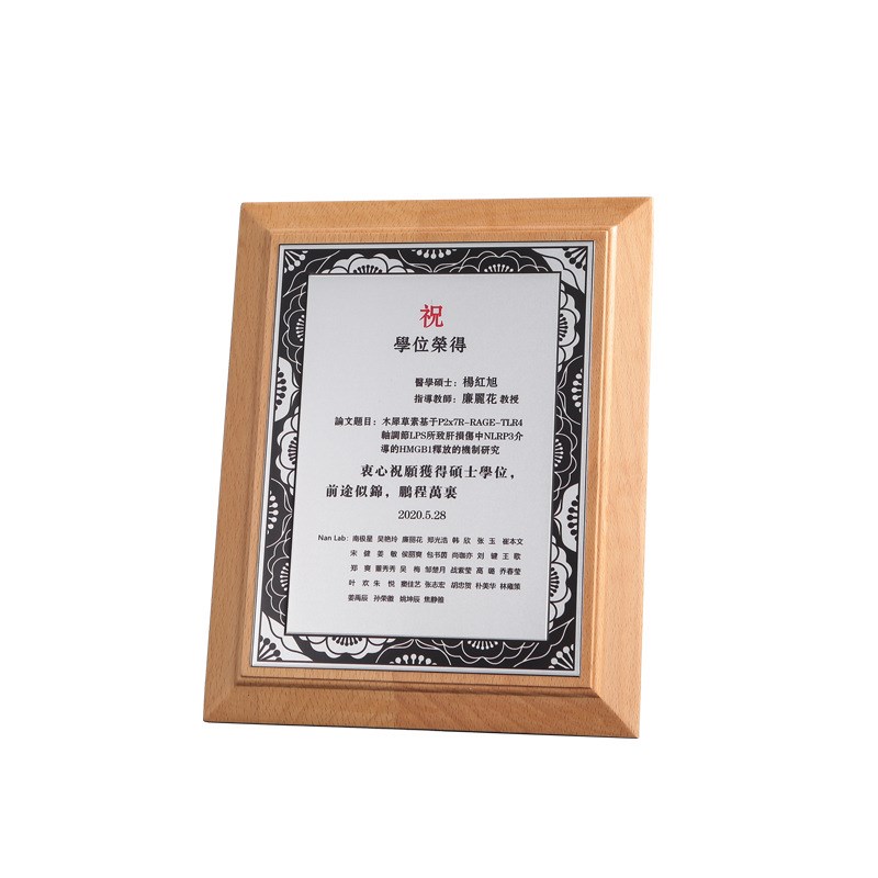 水晶创意实木奖杯公司年会颁奖木质榉木胡桃木奖牌摆件