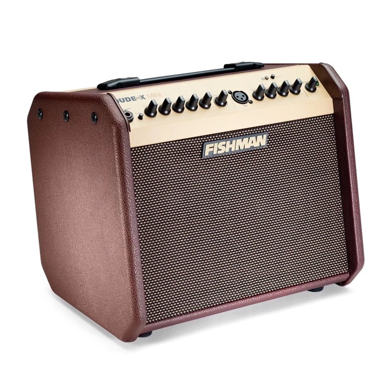 Fishman Loudbox60W120W180W渔夫音箱便携原声民谣木吉他弹唱音响