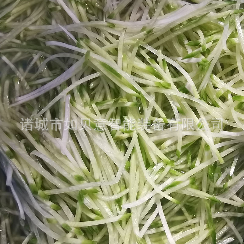 厂家现货大姜切丝机洋姜自动切姜丝机土豆萝卜红薯切条切片机