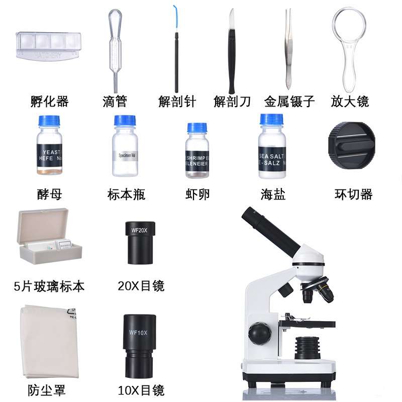 1600X变倍显微镜 3孔外倾转换器显微镜 实验室生物显微镜可调节