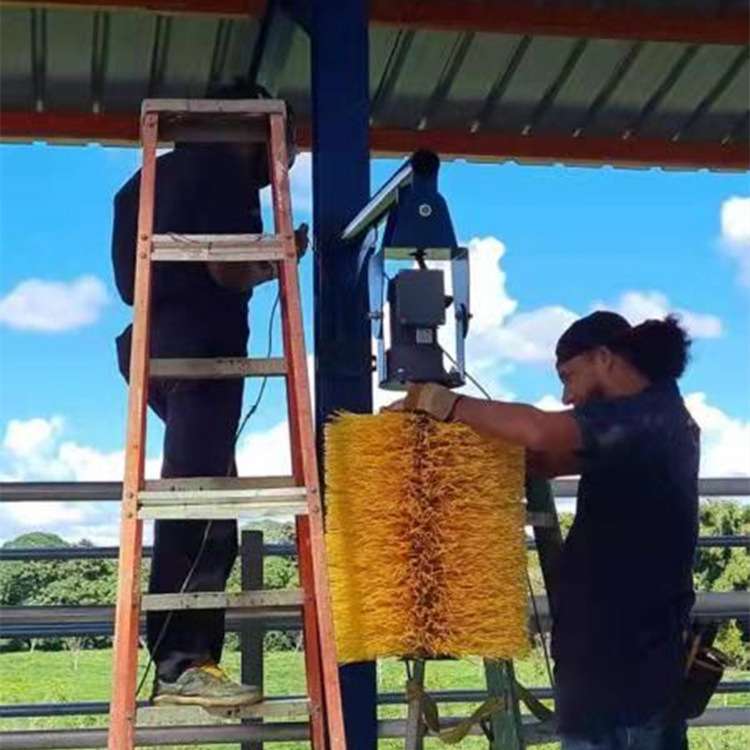 牛体刷牛体按摩蹭痒毛刷奶牛自动旋转按摩刷奶牛清洗机毛刷农牧场