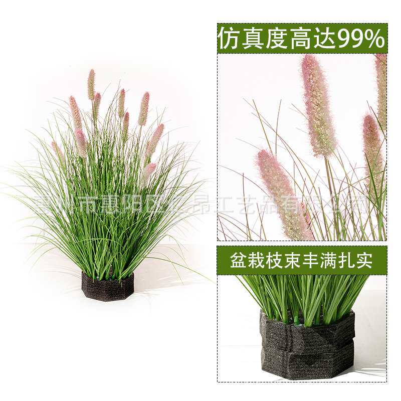 仿真盆栽带盆狗尾巴草绿色装饰绿植盆栽人造花卉盆栽龙须草假盆栽