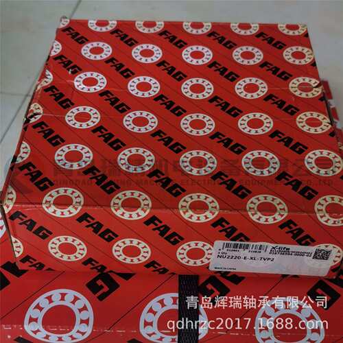 F-A-G 圆柱滚子轴承NU2220-E-XL-TVP2