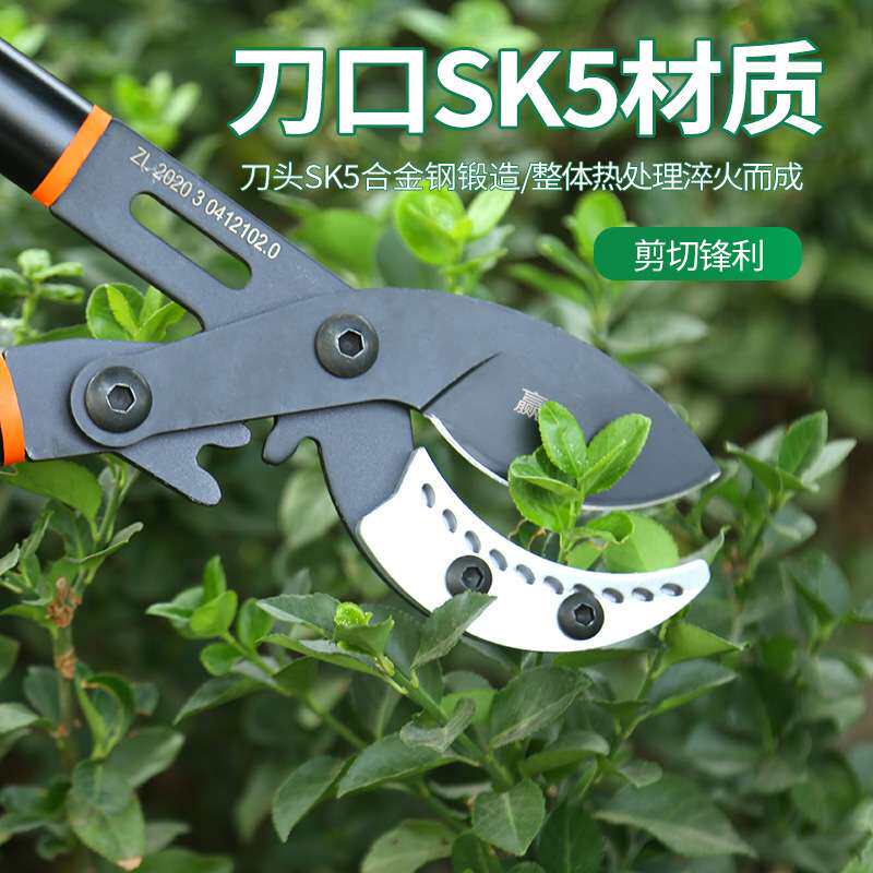 赢大新型粗枝剪大力剪园林园艺伸缩果树剪摘果剪园林工具