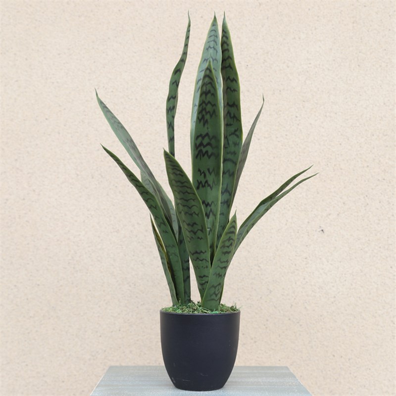 仿真绿植虎皮兰 黄边盆栽人造假植物软质pvc室内 仿真虎尾兰