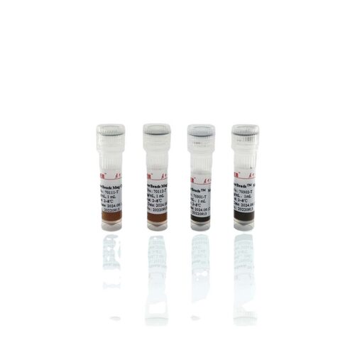 海狸琼脂糖羟基磁珠50mL20%