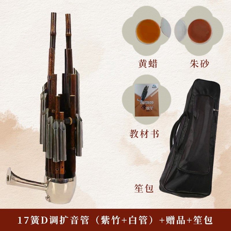宏艺凤鸣14簧17簧21簧初学扩音紫竹圆笙方笙厂家