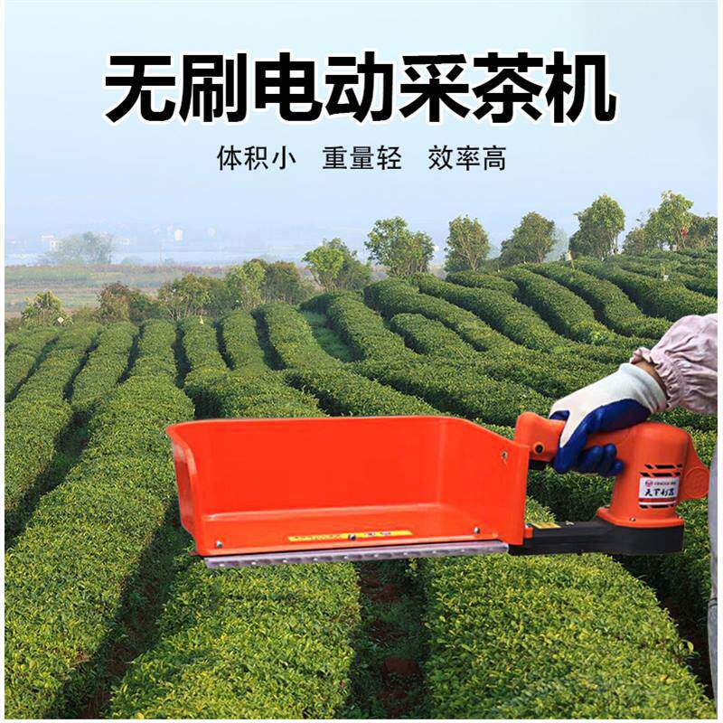锂电池电动采茶机单人手便携修剪机充电绿篱机小型茶叶采摘机厂家