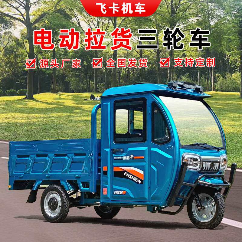 外贸出口电动三轮车家用拉货车半封闭带棚驾驶室新款载重王厂家
