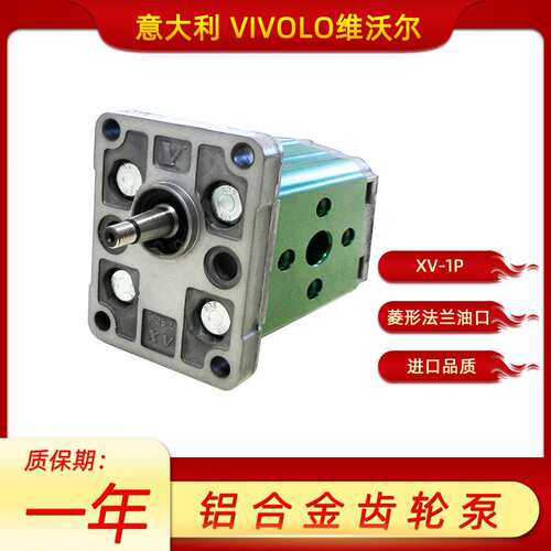 Vivoil pump X1P2502FIIA X1P2702FIIA X1P2902FIIA X1P3102FIIA