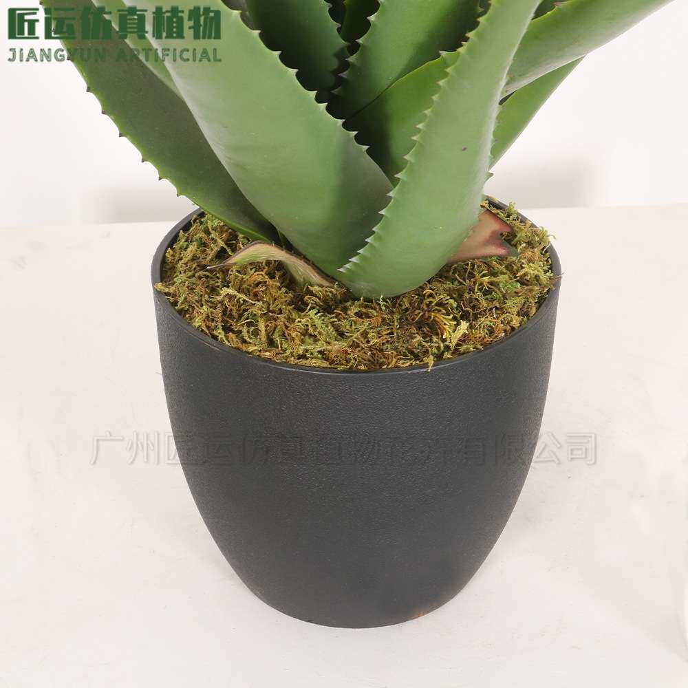 手感软胶加厚叶片高端大型多肉盆栽造景绿植装饰植物99%仿真芦荟