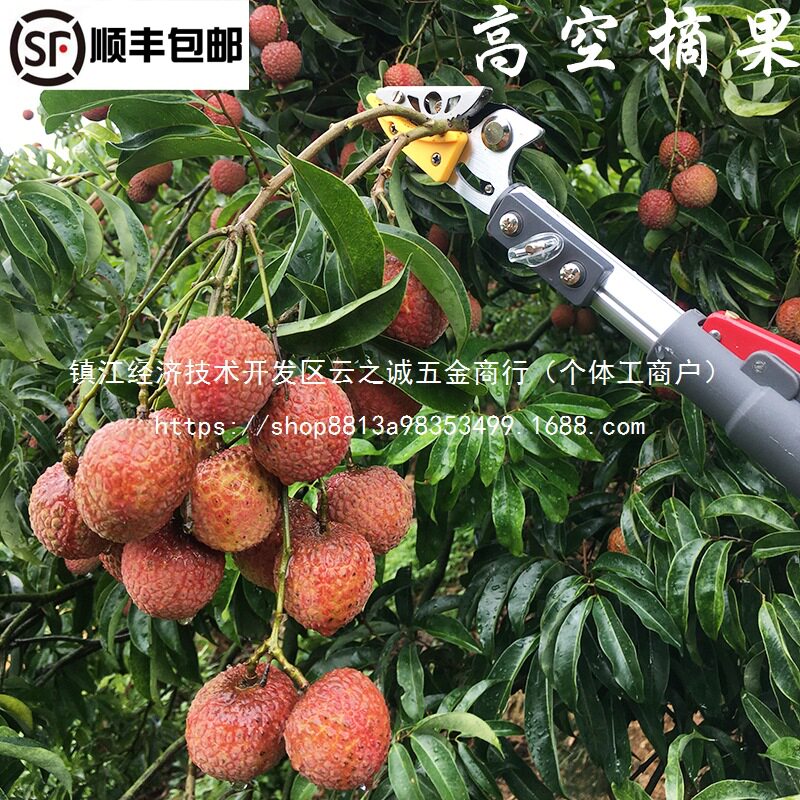 伸缩高枝摘果剪树枝剪
