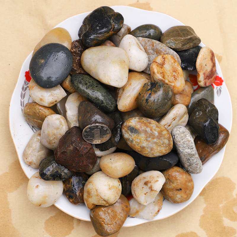 彩色鹅卵石 厂家 五彩毛料雨花石头 工程铺路鱼缸造景盆栽石块