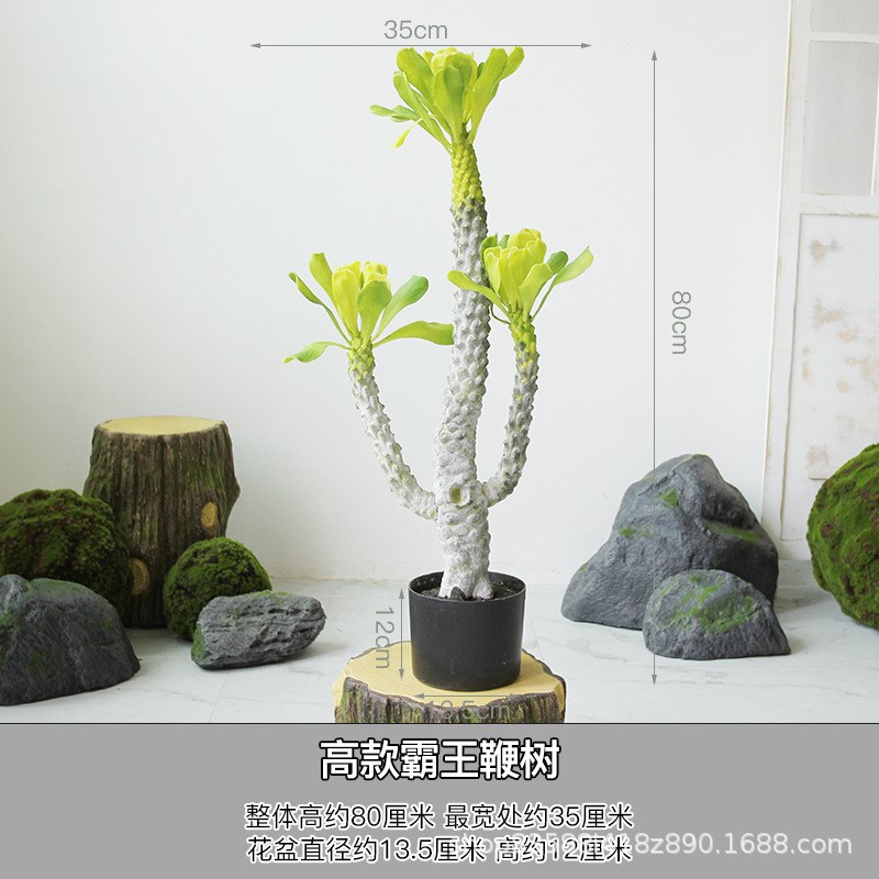 仿真非洲霸王树盆栽热带沙漠绿植假植物软装店P铺橱窗造景装饰摆