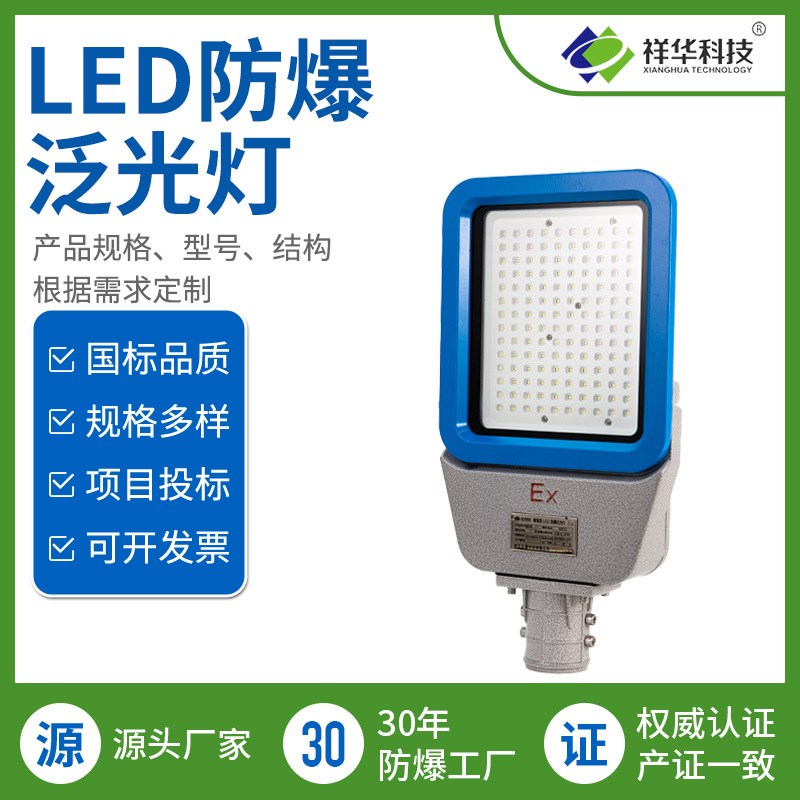 LED防爆泛光h灯 BED168系列 防爆路灯照明灯可配6/8/10高杆支架