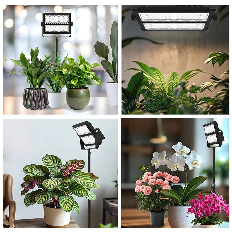 100W全光谱植物生长灯室内热植泛光多肉盆栽花卉景观植物补光灯