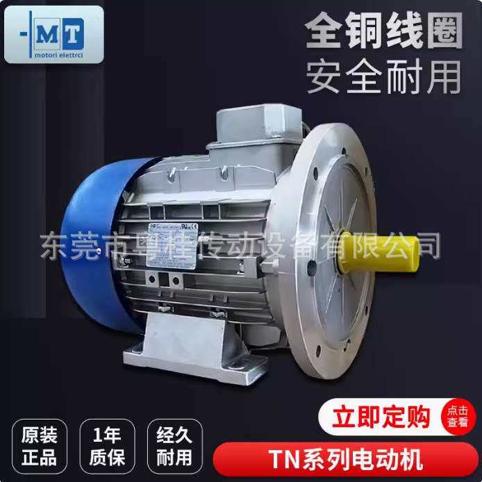 意大利MT刹车马达 MT电机 TF112LB4/4KWMT进口刹车电机