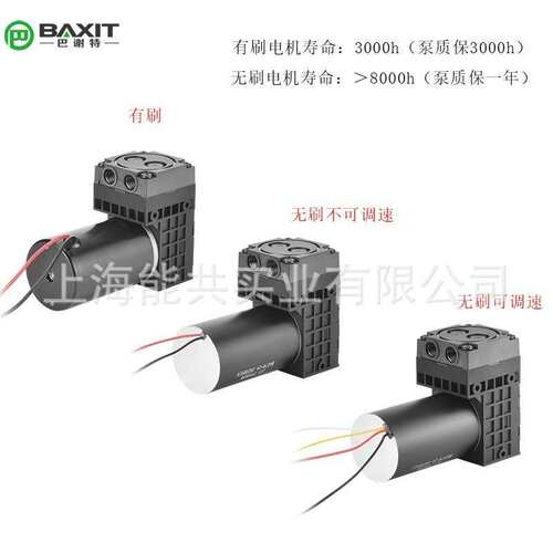 原装BAXIT微型隔膜泵PM27746-86 DC24V采样泵真空泵 CEMS抽气泵