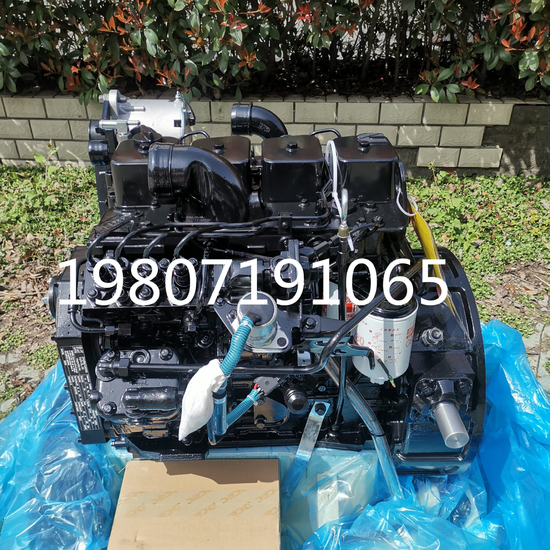 东风康明斯4BT3.9-C80发动机总成