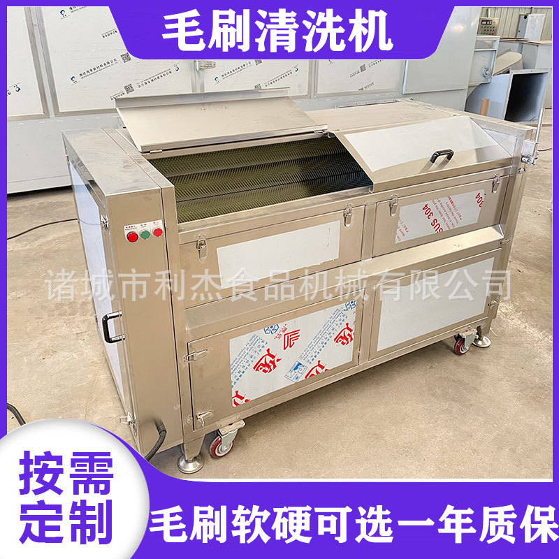 现货毛辊清洗去皮机生蚝胡萝卜