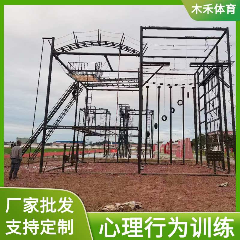 供应心理行为训练器材高空攀登架成人拓展综合训练架规格齐全