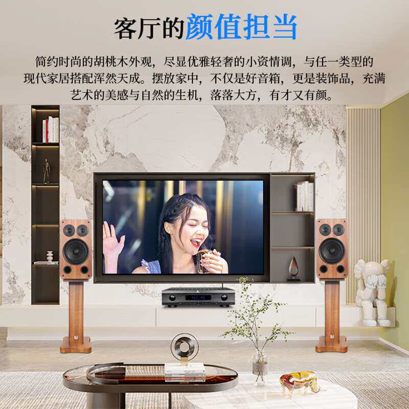 天逸(Winner) BL-05MKII 家庭影院8英寸 家庭ktv复古木纹音响
