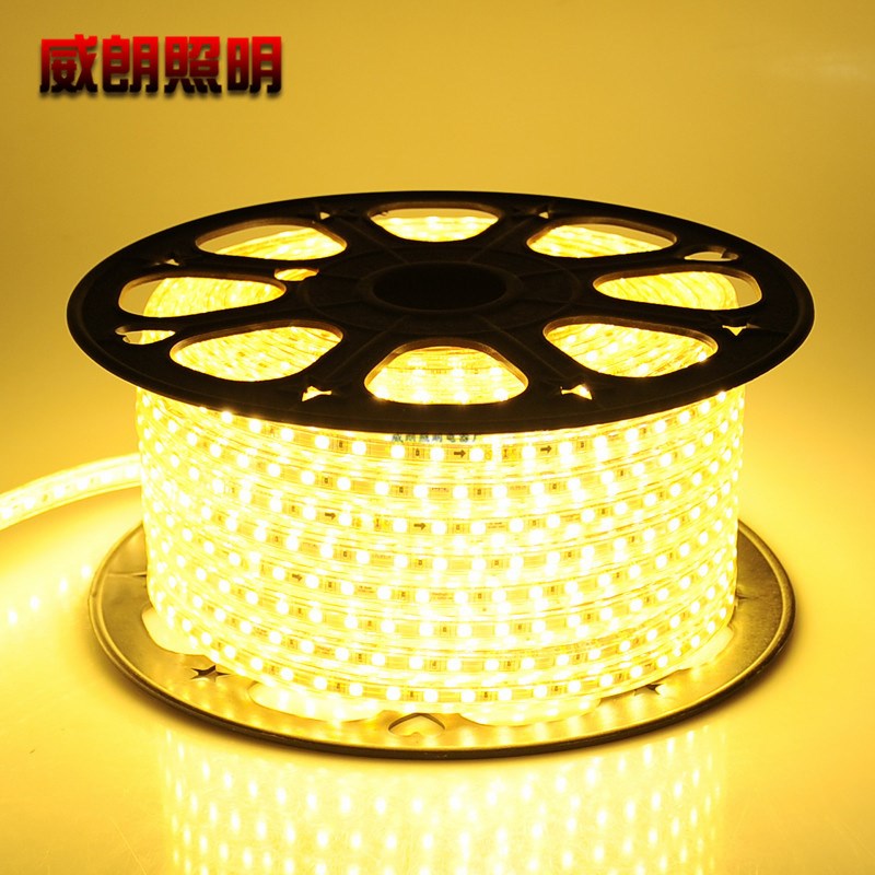 led灯带d客厅吊顶灯管七彩变色线灯防水灯条220v户外装饰家装光带