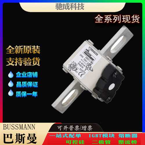 巴斯曼170M4619 170M4656 170M4658 销售供应销售价优 方体熔断器