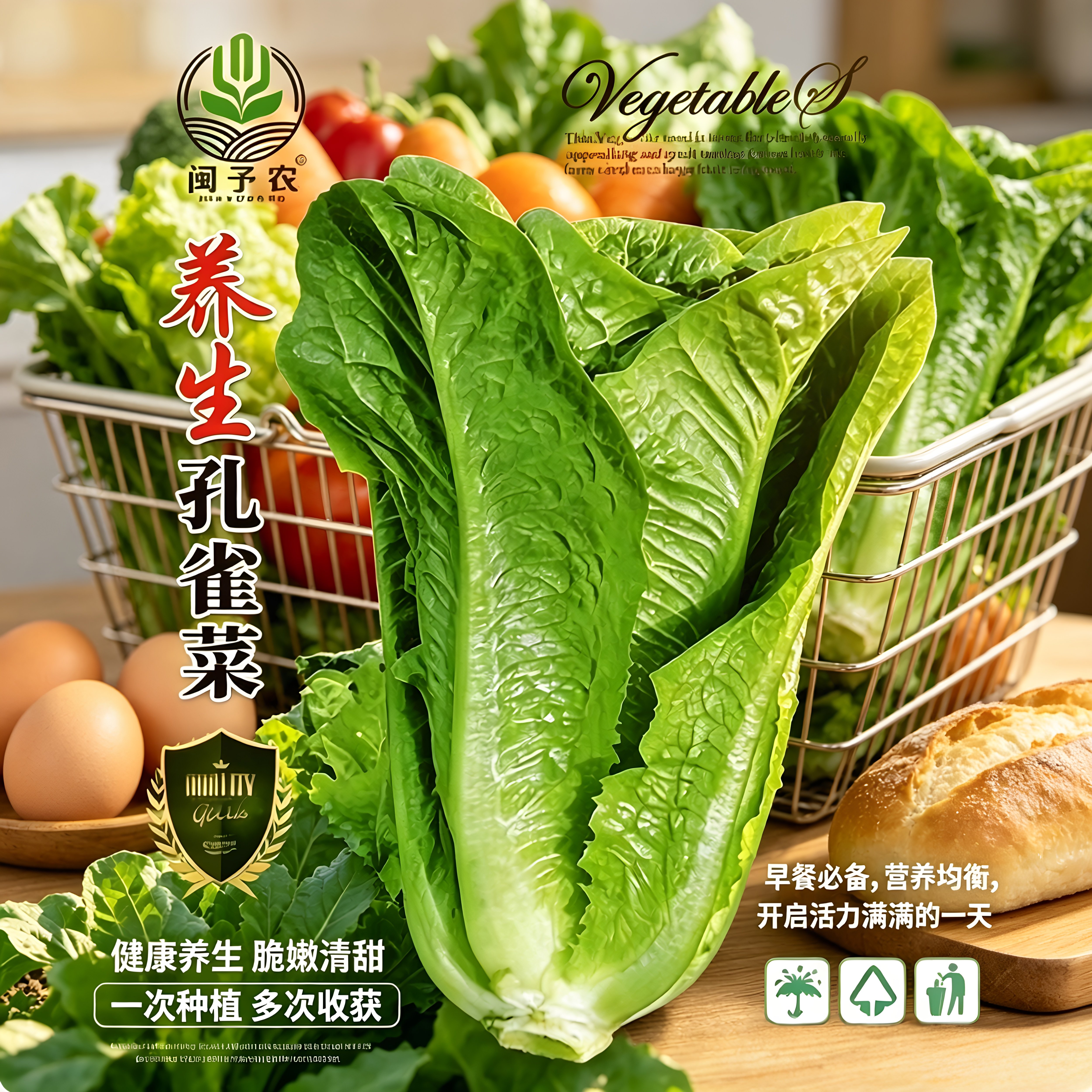 【孔雀菜种子】四季种生吃脆甜高营养直立生菜种子盆栽沙拉蔬菜wy