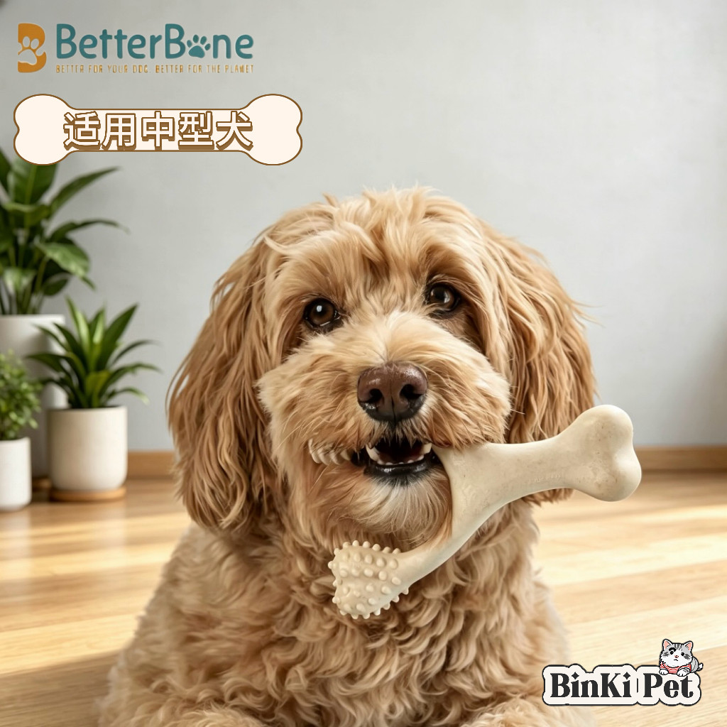 BetterBone中号狗狗啃咬洁齿玩具
