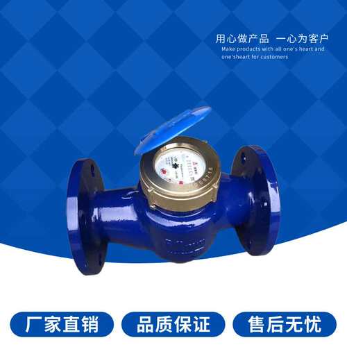 埃美柯法兰水表 LXS-E铁壳法兰旋翼式 冷水表法兰水表DN50~100