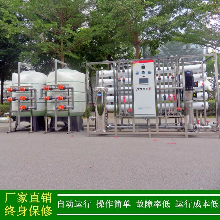 双级ro工业去离子纯水系统10吨15吨20吨反渗透水处理设备净水设备