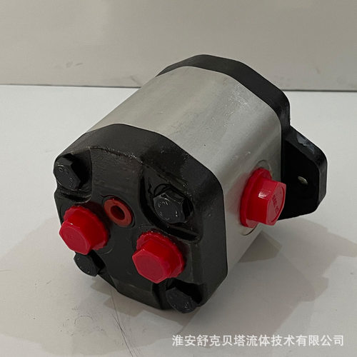 舒克贝塔CB2A-F23-AXA双向泵