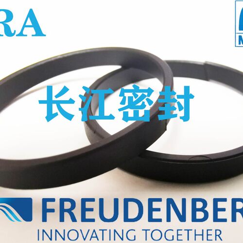 德国Merkel导向环 FRA 型 进口油缸导向环180-175-14.8