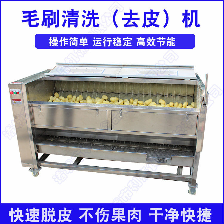 全自动土豆红薯生姜毛刷去皮机