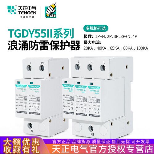 天正TGDY55II浪涌电涌保护器2P/3P+N/4P二级防雷避雷器20KA40KA