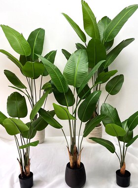 北欧仿真绿植旅人蕉盆栽美人蕉绿植大型家居落地装饰植物摆件假树