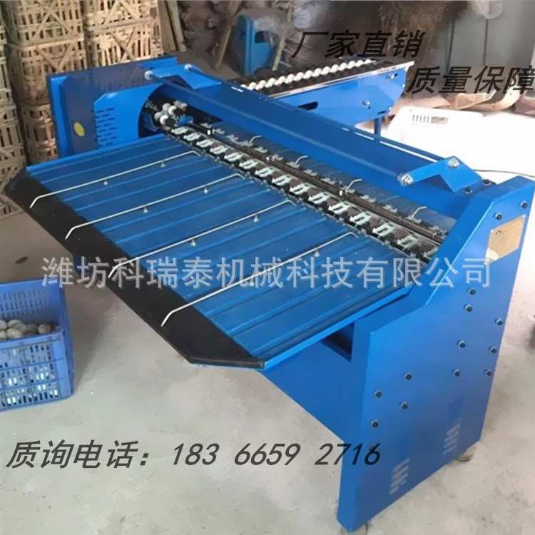小型鸡蛋按重量分级机 种蛋挑选机 诸城供应鲜鸡蛋机械分级机