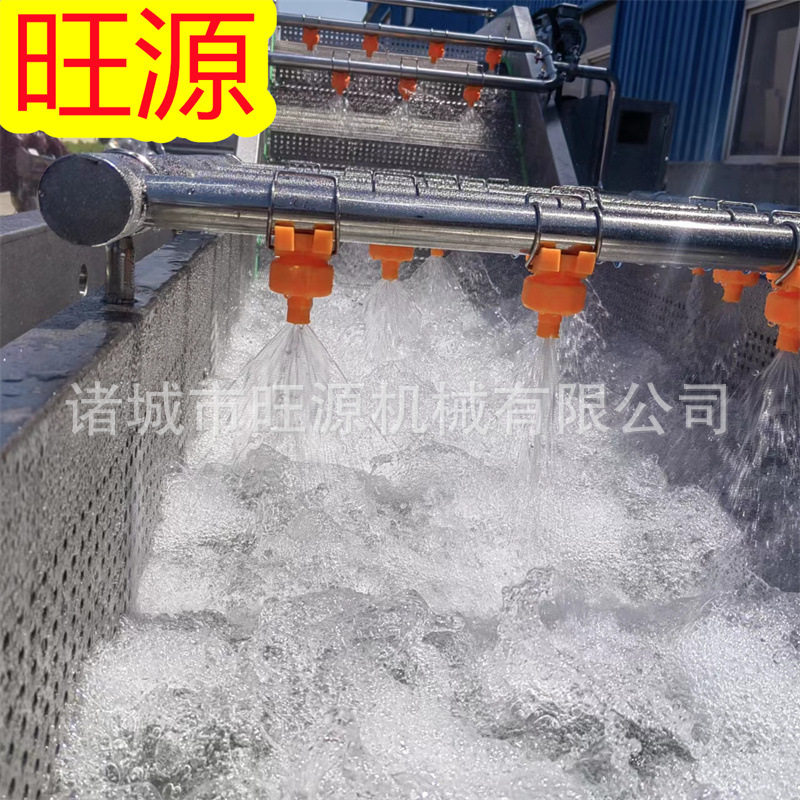 气泡冲浪式香菇清洗设备 珍蘑清洗机 杉菜清洗机厂家提供